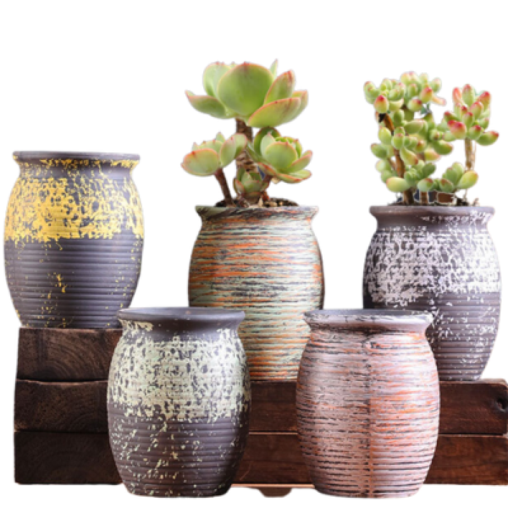 Small Ceramic Pots For Succulents | Set Of 5